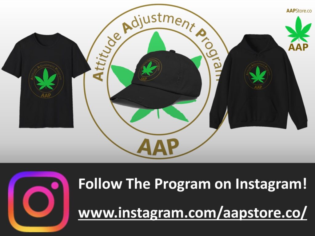 Follow The Program AAP Original on Instagram