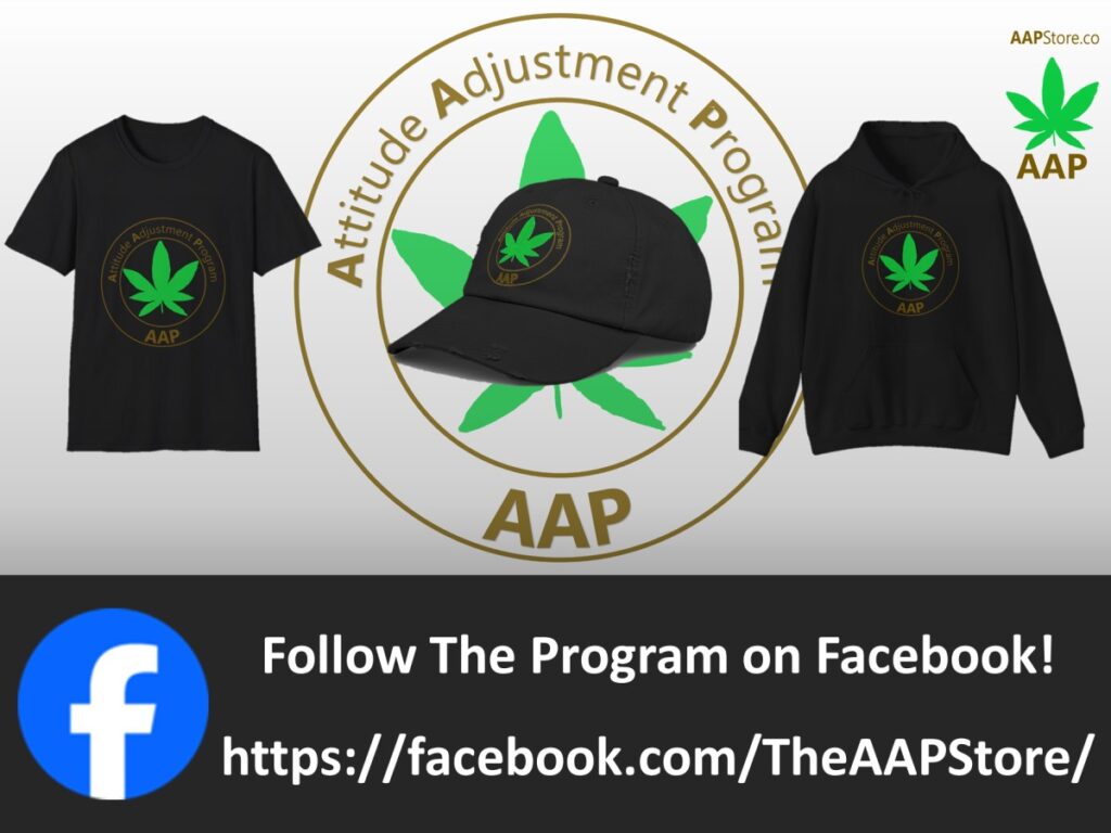 Follow The Program AAP Original on Facebook