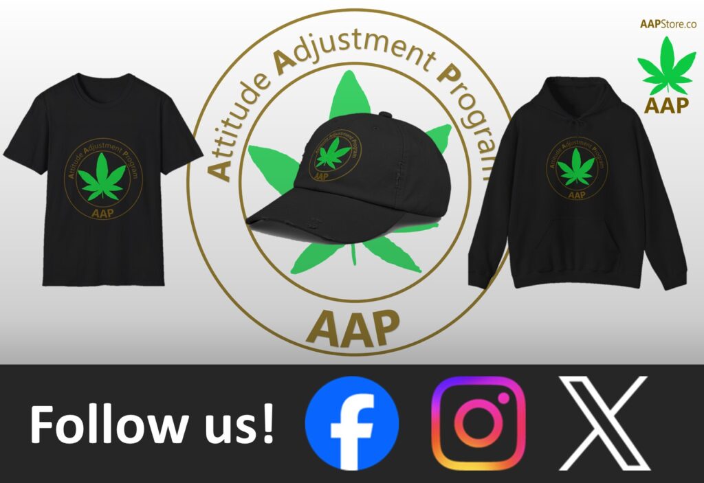 Follow The Program AAP Original Follow Us