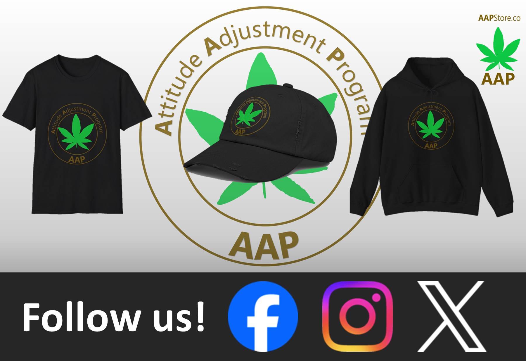 Follow The Program AAP Original Follow Us