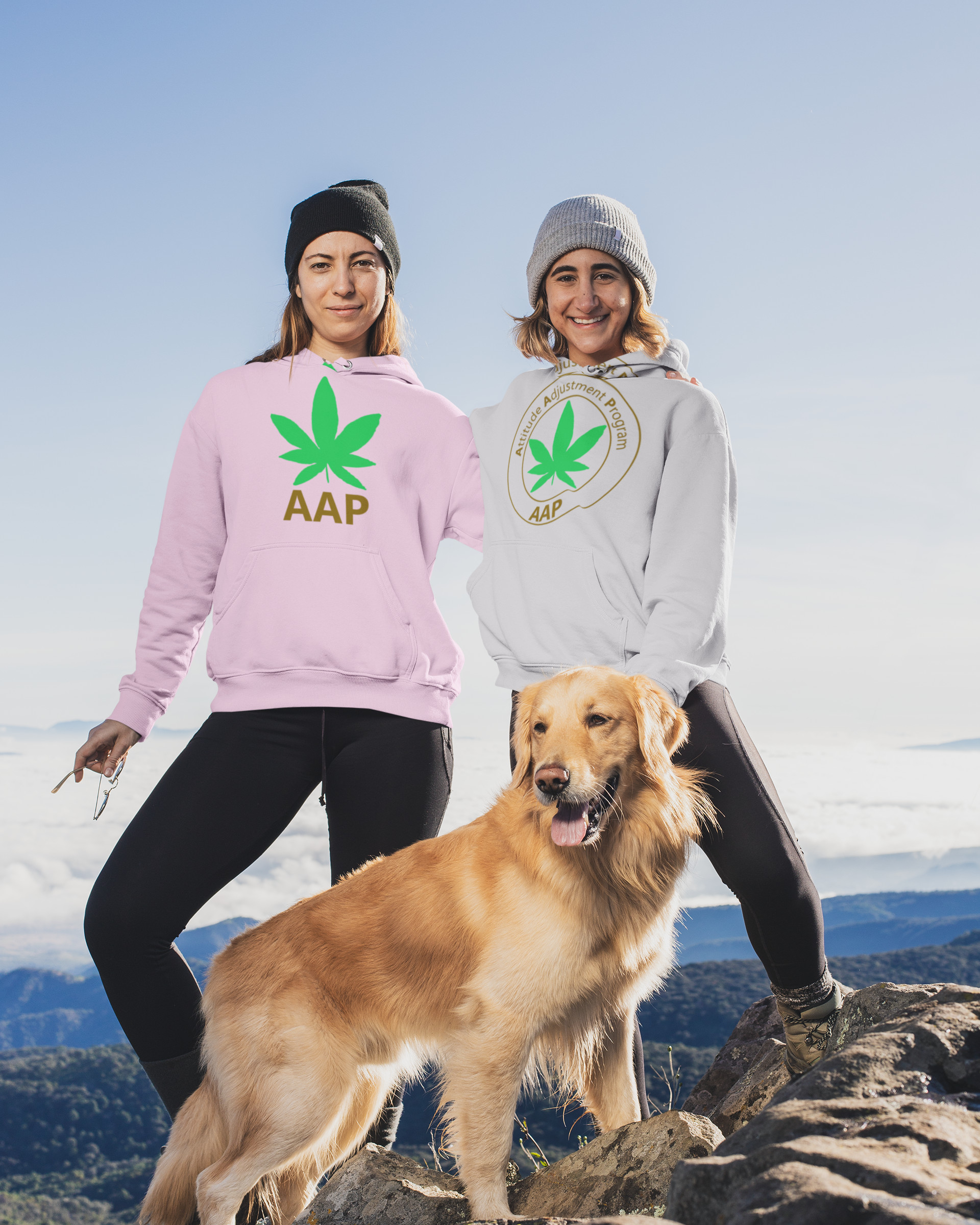 Follow The Program AAP Original Hoodies