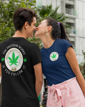 Follow The Program AAP Original The Program Works If You Follow It 2-sided 420 Tee