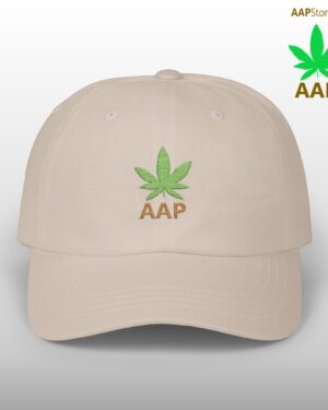 follow the program aap original aapstore.co logo classic dad cap