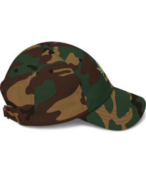 follow the program aap original aapstore.co logo classic dad cap