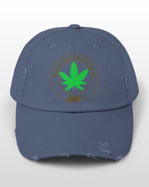 follow the program aap original distressed stoner cap