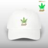 follow the program aap original aapstore.co logo classic dad cap