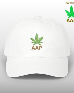 follow the program aap original aapstore.co logo classic dad cap