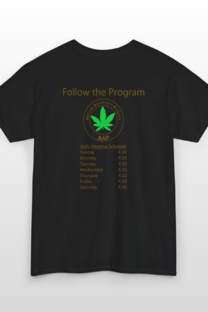 follow the program aap original daily 420 2 side tee