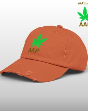 follow the program aap original aapstore.co logo distressed cap