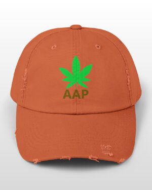 follow the program aap original logo distressed cap
