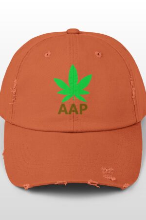 follow the program aap original logo distressed cap