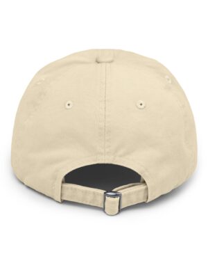 follow the program aap original aapstore.co logo distressed cap