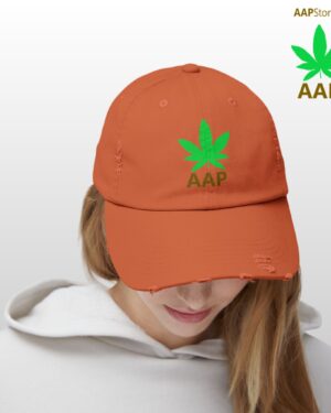 follow the program aap original aapstore.co logo distressed cap