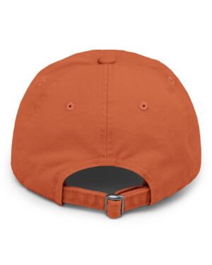 follow the program aap original aapstore.co logo distressed cap