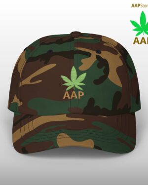 follow the program aap original aapstore.co logo classic dad cap
