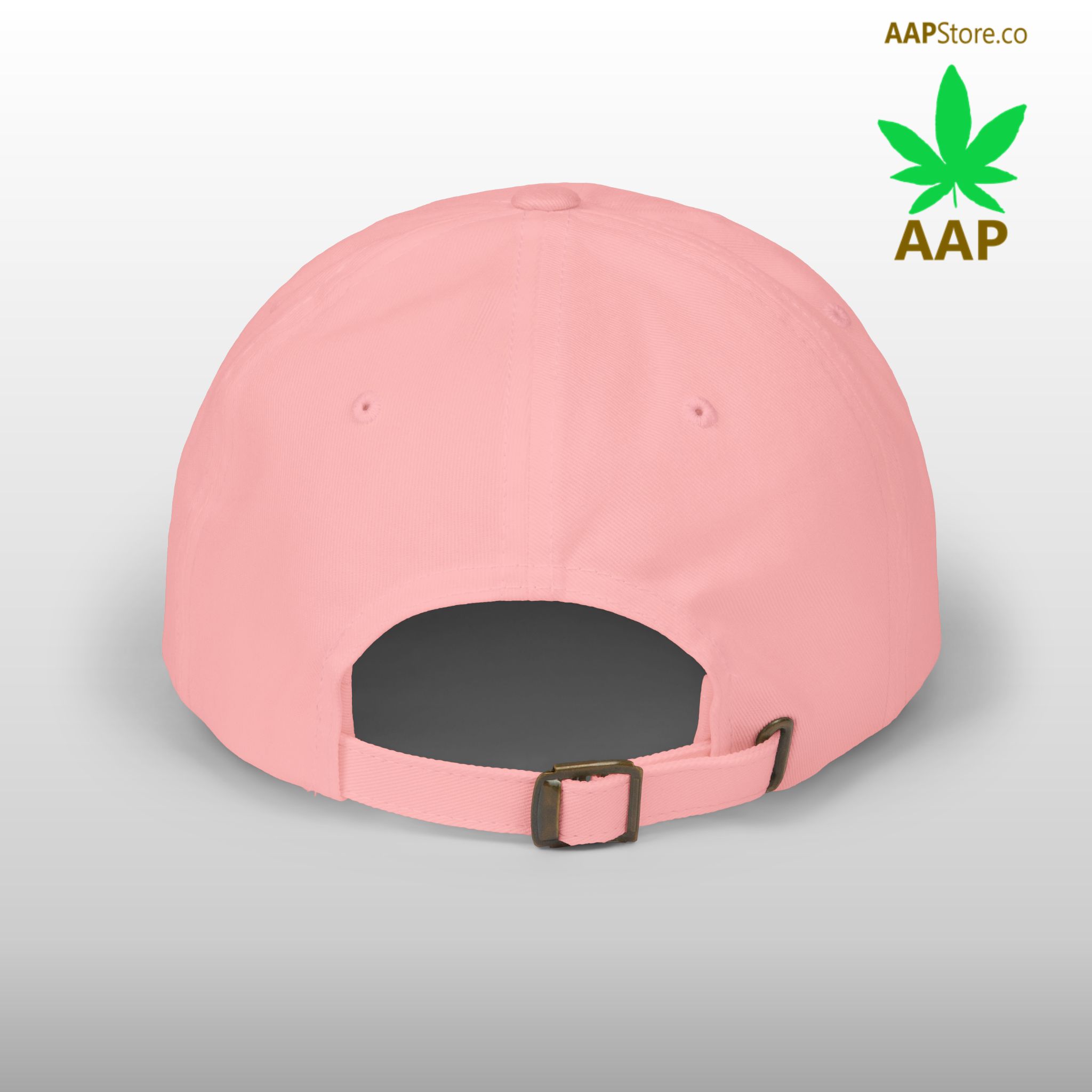 follow the program aap original aapstore.co logo classic dad cap
