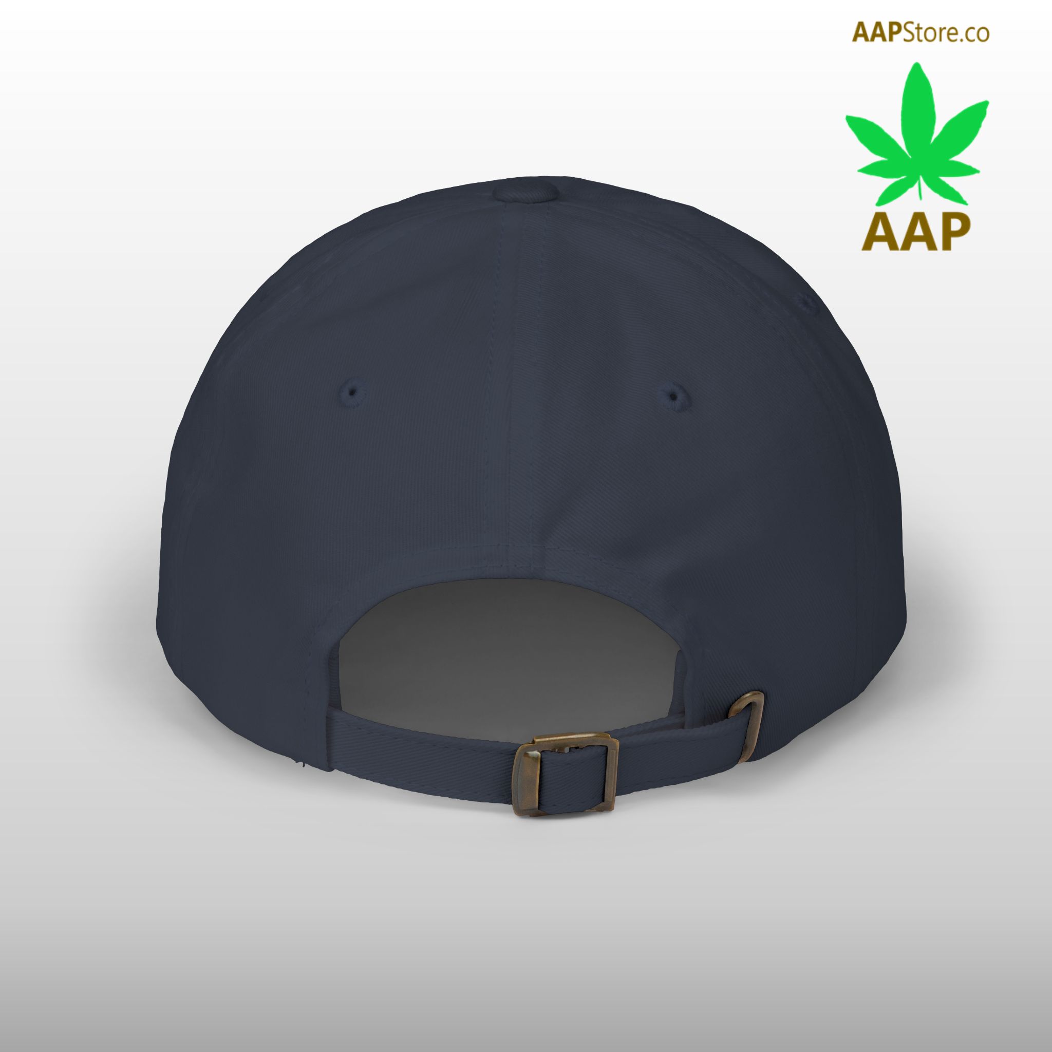 follow the program aap original aapstore.co logo classic dad cap