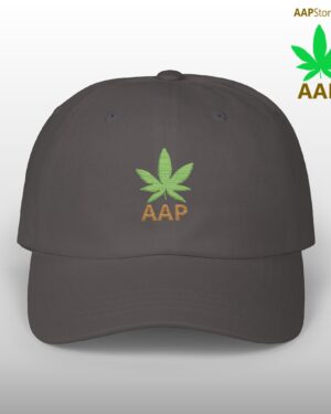 follow the program aap original aapstore.co logo classic dad cap