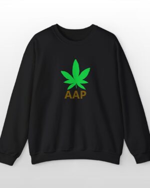follow the program aap original logo crewneck sweatshirt
