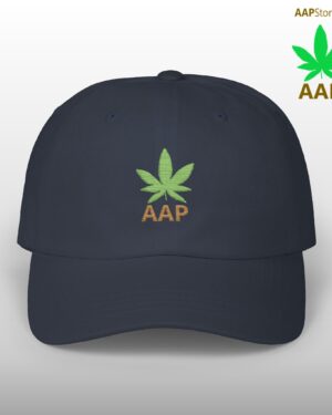 follow the program aap original aapstore.co logo classic dad cap