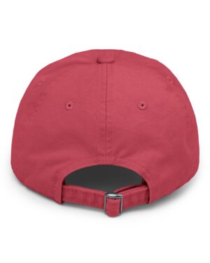 follow the program aap original aapstore.co logo distressed cap