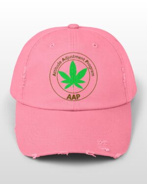 follow the program aap original distressed stoner cap