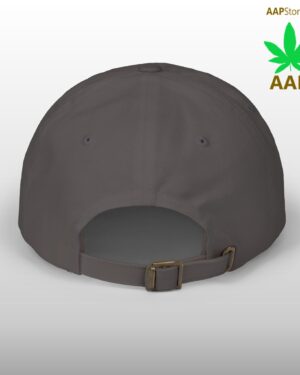 follow the program aap original aapstore.co logo classic dad cap