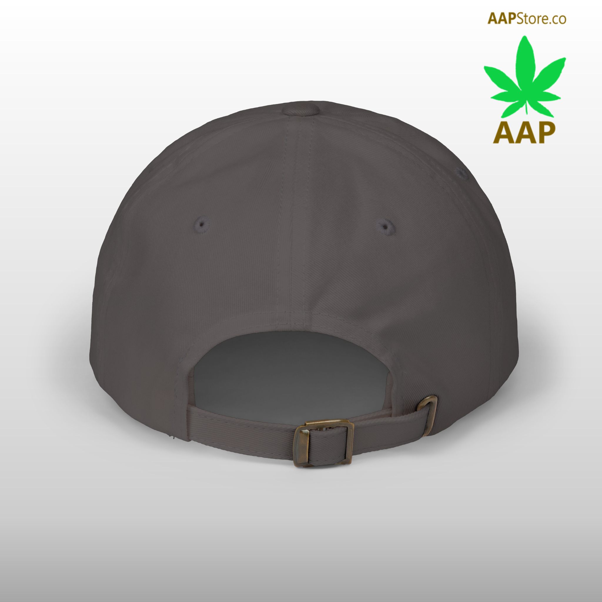 follow the program aap original aapstore.co logo classic dad cap