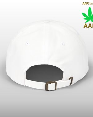 follow the program aap original aapstore.co logo classic dad cap