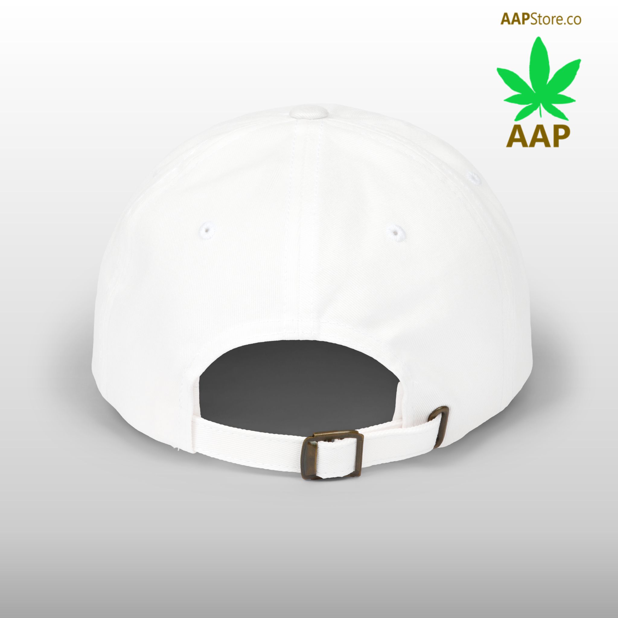 follow the program aap original aapstore.co logo classic dad cap