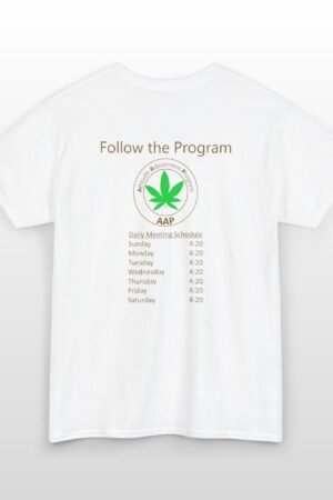 follow the program aap original daily 420 2 side tee