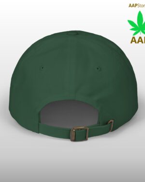 follow the program aap original aapstore.co logo classic dad cap