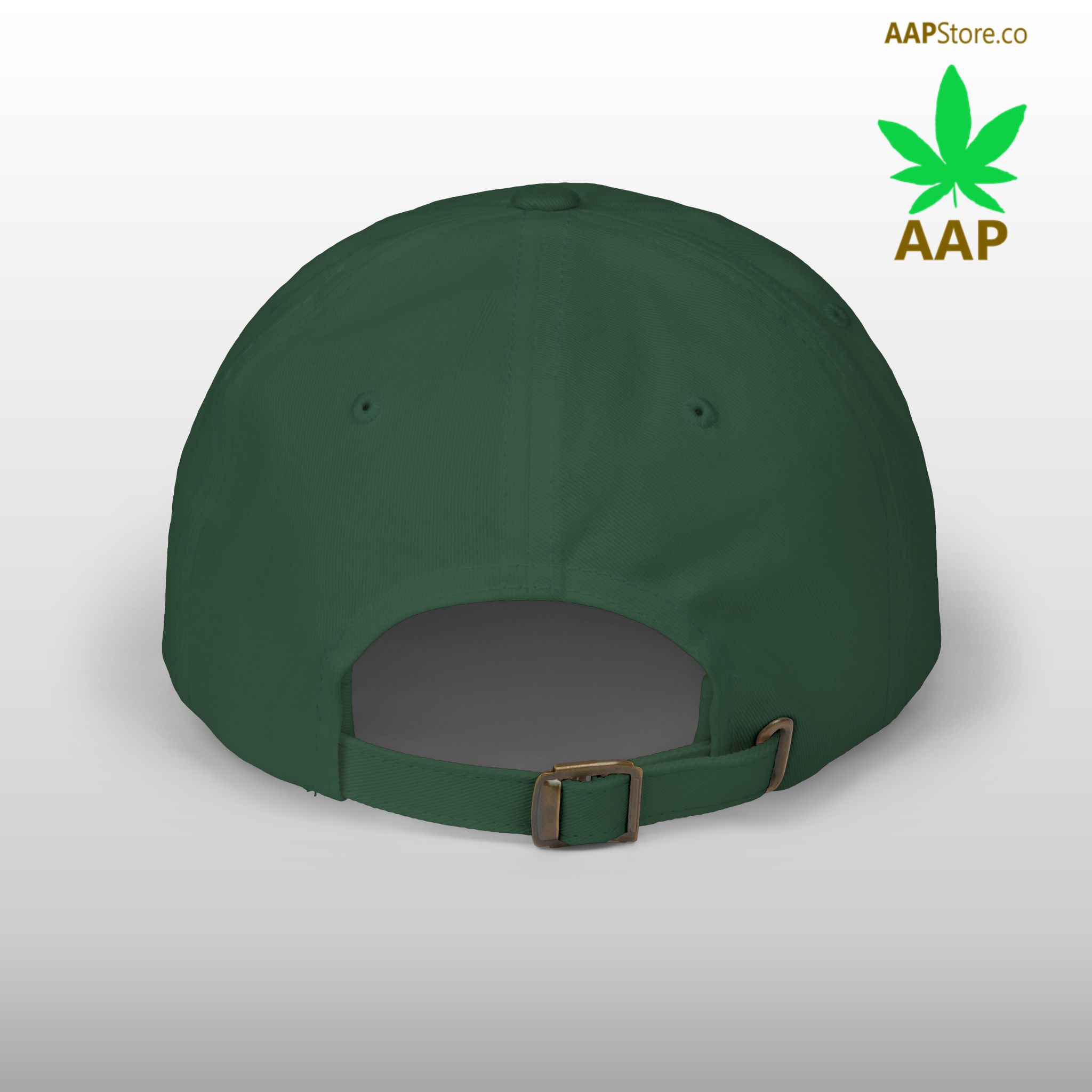 follow the program aap original aapstore.co logo classic dad cap