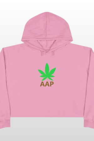 follow the program aap original logo crop hoodie