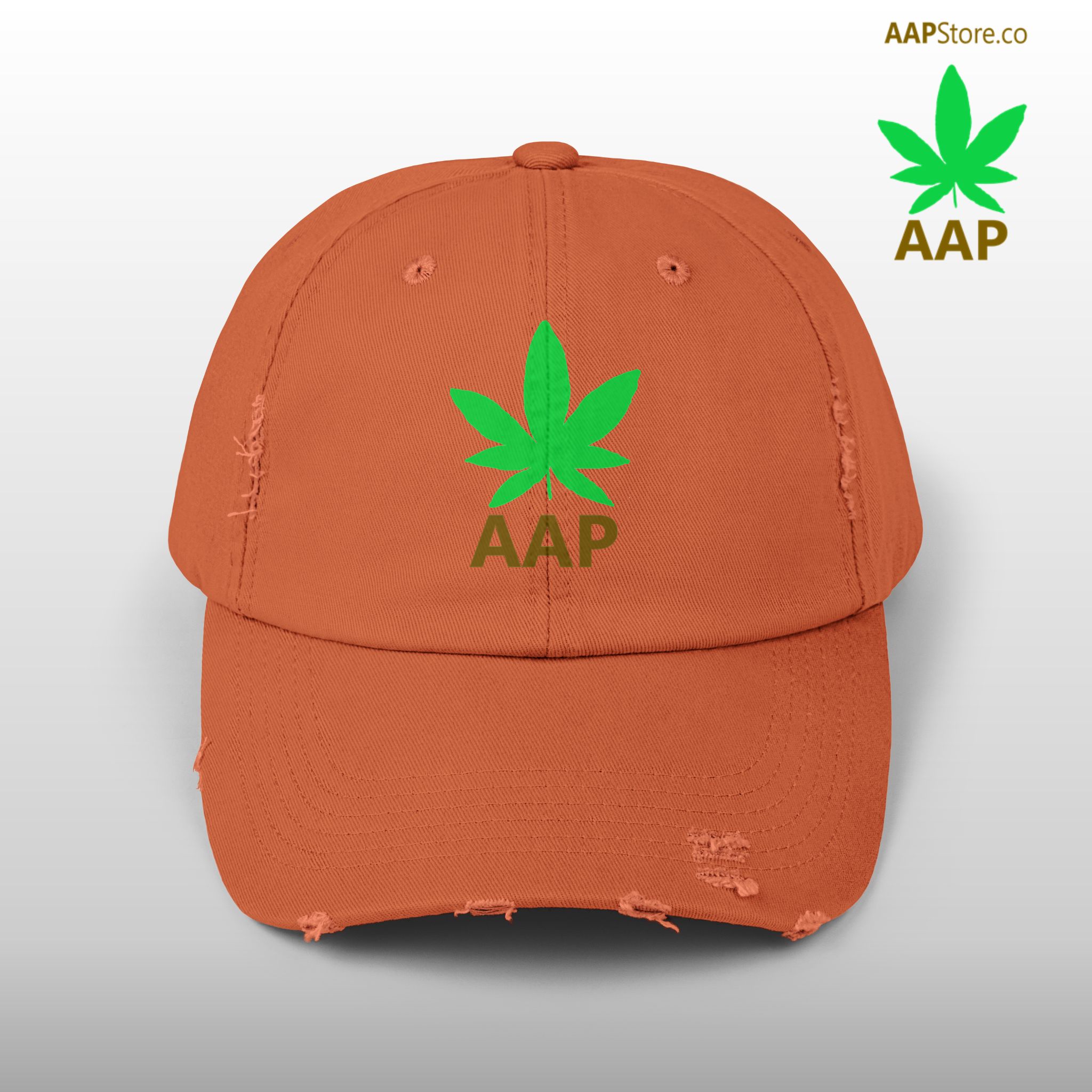 follow the program aap original aapstore.co logo distressed cap