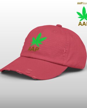 follow the program aap original aapstore.co logo distressed cap