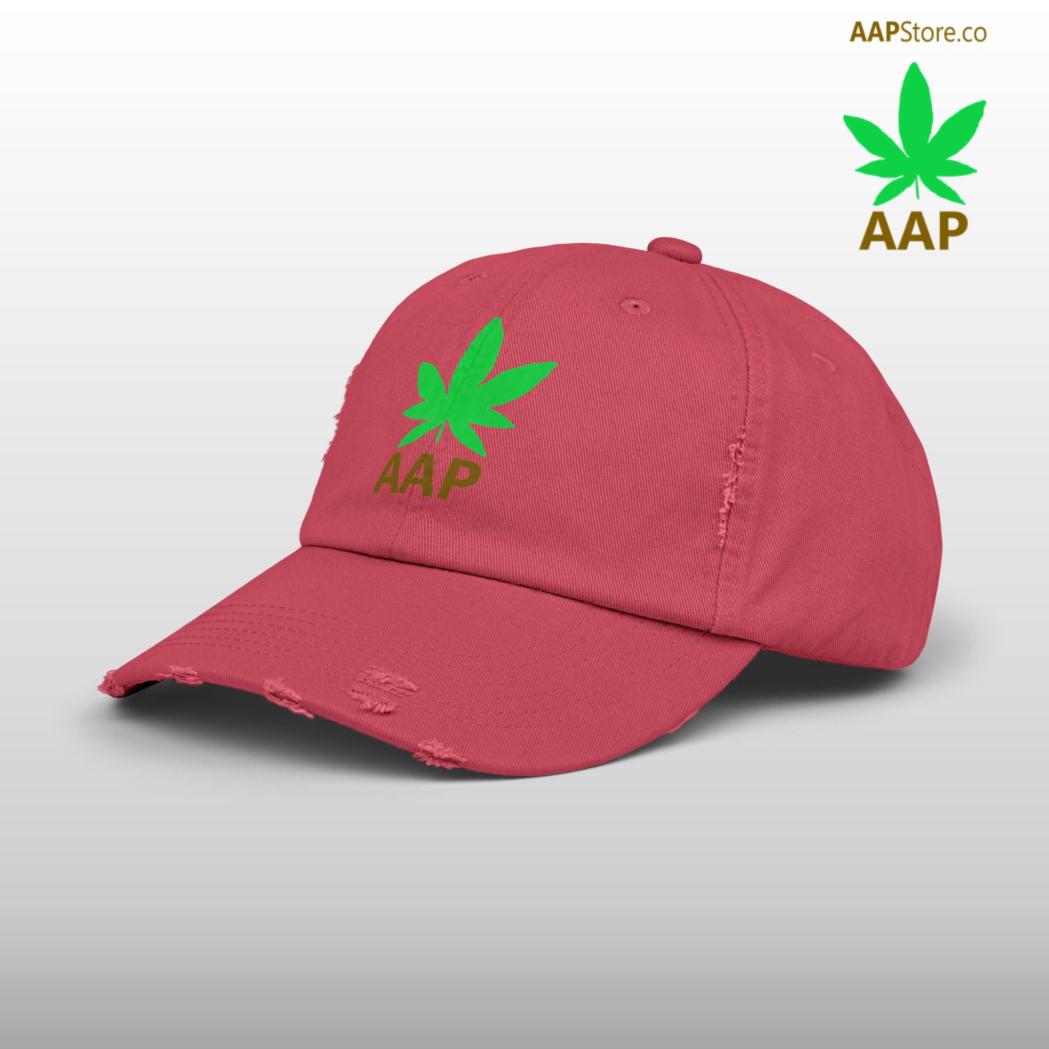follow the program aap original aapstore.co logo distressed cap