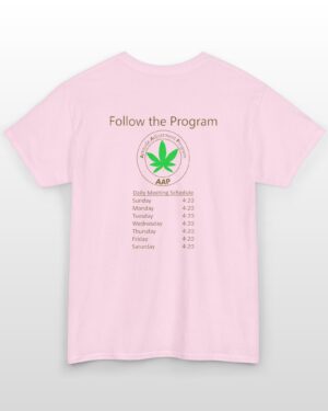 follow the program aap original daily 420 2 side tee