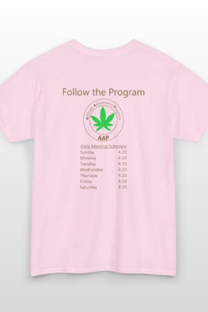 follow the program aap original daily 420 2 side tee