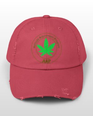 follow the program aap original distressed stoner cap