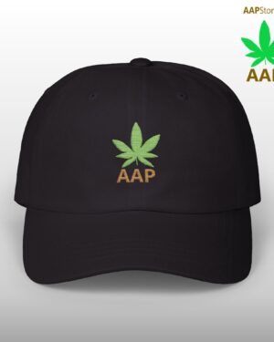 follow the program aap original aapstore.co logo classic dad cap