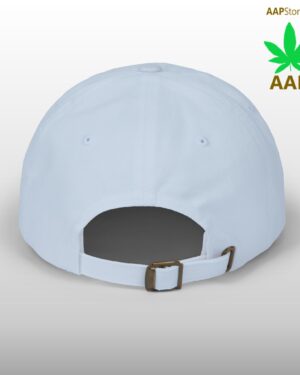 follow the program aap original aapstore.co logo classic dad cap