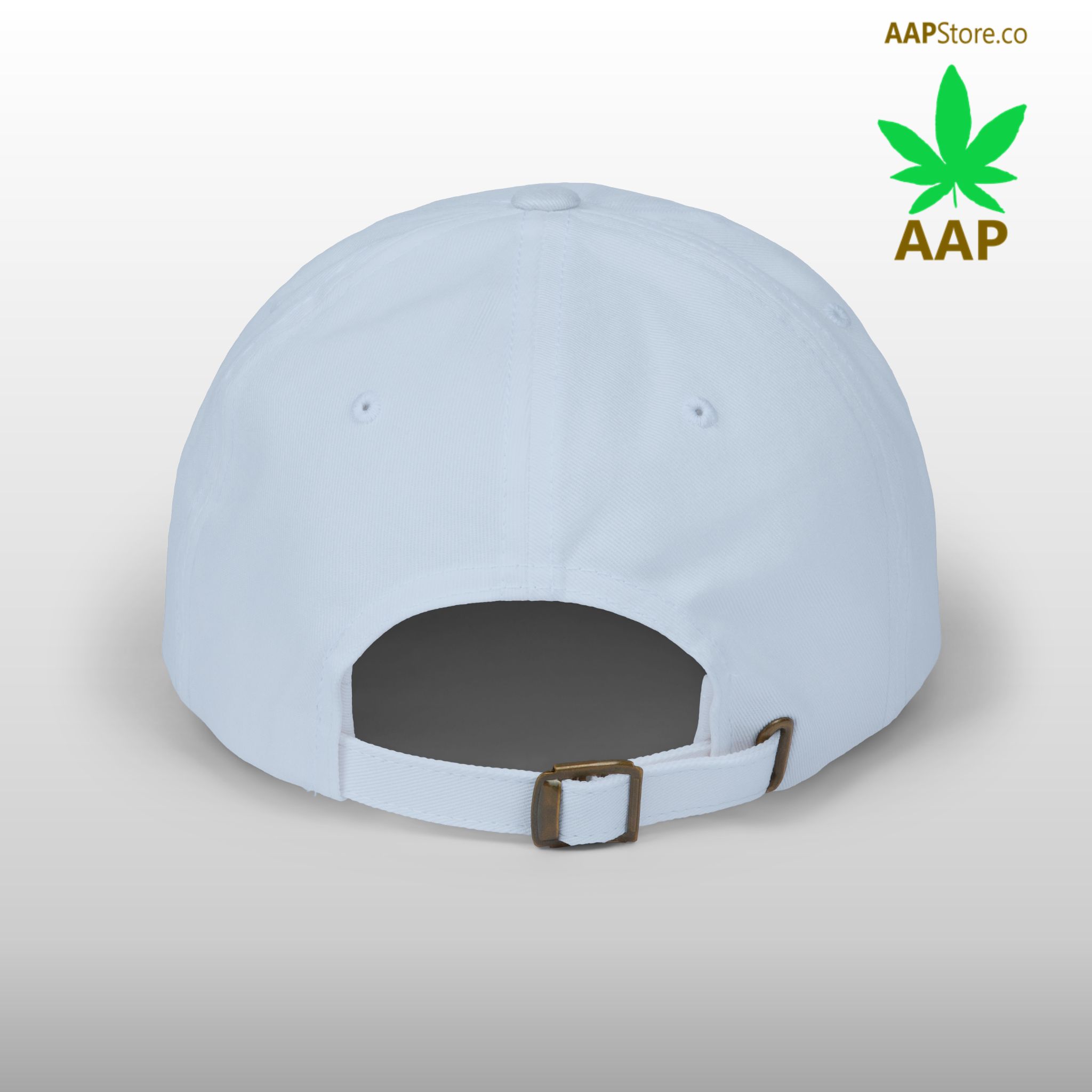 follow the program aap original aapstore.co logo classic dad cap