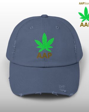 follow the program aap original aapstore.co logo distressed cap