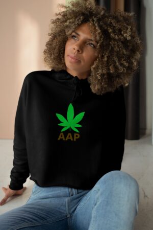 follow the program aap original logo crop hoodie