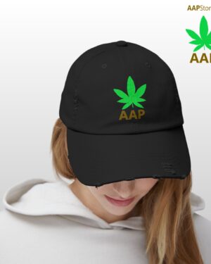 follow the program aap original aapstore.co logo distressed cap