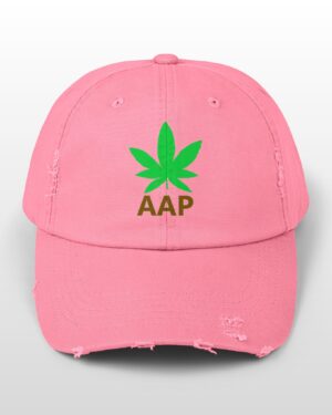 follow the program aap original logo distressed cap