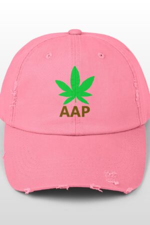 follow the program aap original logo distressed cap
