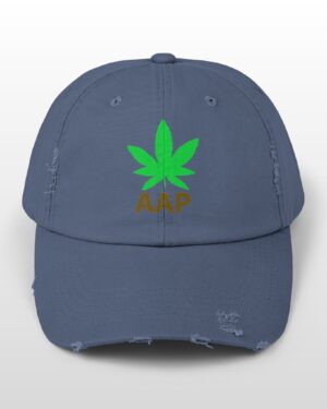 follow the program aap original logo distressed cap