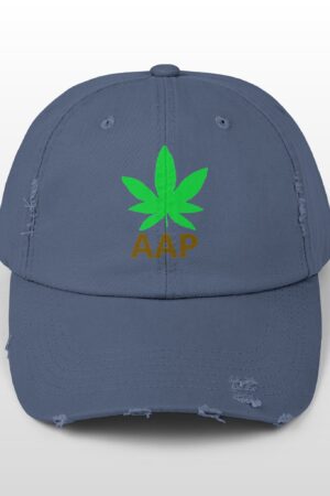 follow the program aap original logo distressed cap